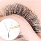 W Premium Cashmere Eyelashes (C curl 3D 0.07) - Liore Lash