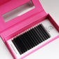 W Premium Cashmere Eyelashes (C curl 3D 0.07) - Liore Lash