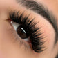 Premium Cashmere Eyelashes (C Curl 0.07) - Liore Lash