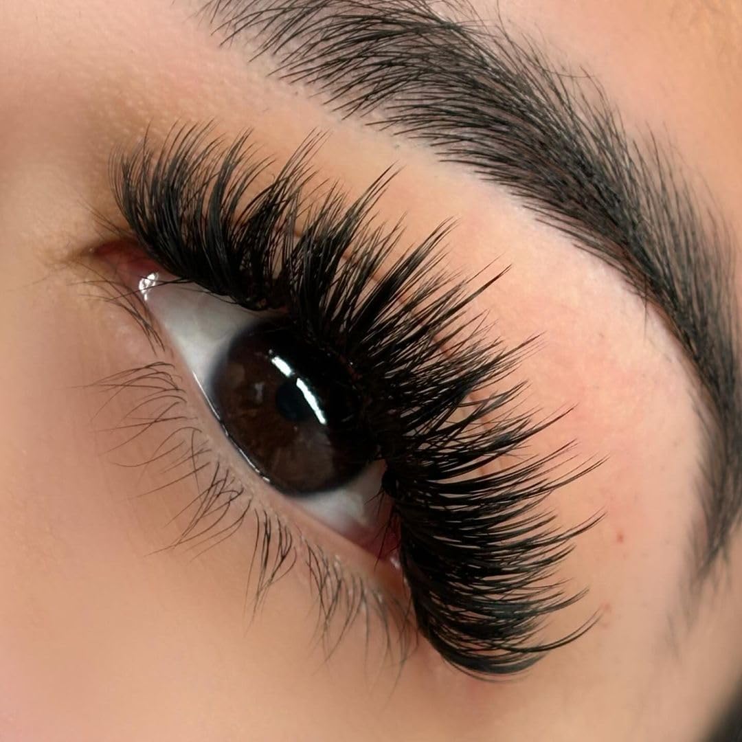 Premium Cashmere Eyelashes (C Curl 0.10) - Liore Lash