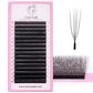 Cashmere Premade U & W Lash Fans – 0.07 mm